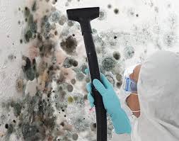 Best Mold Remediation for Healthcare Facilities  in Douglas, AZ